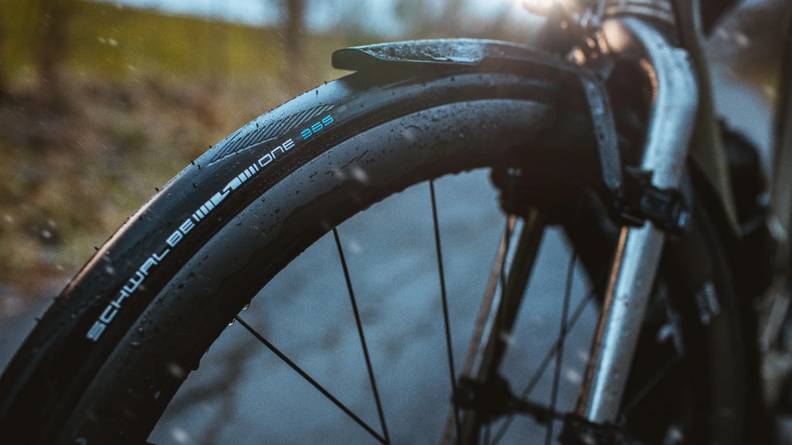Copertone Schwalbe One 365 - Addix 4Season - RaceGuard - Tubetype - Image 4