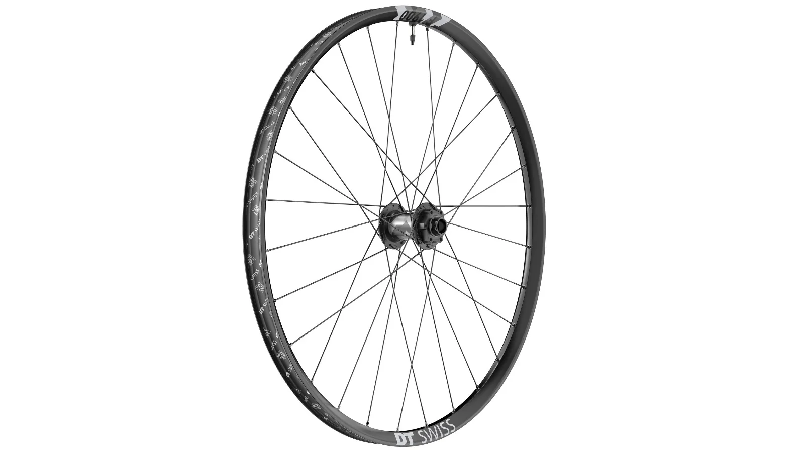 DT Swiss F 1900 CLASSIC 30 ruota anteriore da DH - Alluminio - Tubeless Ready